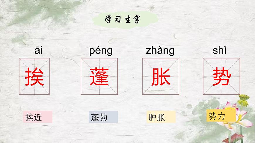 部編版語(yǔ)文三年級(jí)下冊(cè)3《荷花》PPT課件第6頁(yè)