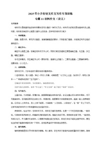 专题11 材料作文（讲义）-2025年小升初语文作文写作专项训练