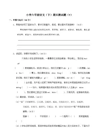 统编版小学六年级语文(下)期末测试题(有答案) (6)