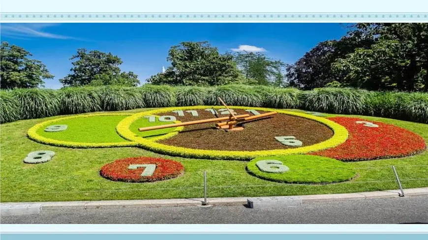 统编版(2024)三年级语文下册13花钟课件ppt第6页