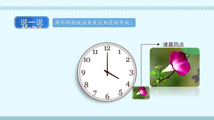 统编版(2024)三年级语文下册13花钟课件ppt第8页