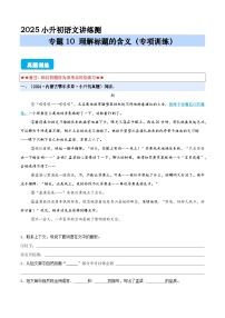 專題10 理解標(biāo)題的含義（專項(xiàng)訓(xùn)練）（原卷+答案解釋）2024-2025學(xué)年小升初語文講練測(cè) 統(tǒng)編版
