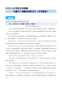 專題08 理解詞語的含義（專項(xiàng)訓(xùn)練）（原卷版+答案與解釋）2024-2025學(xué)年小升初語文講練測(cè) 統(tǒng)編版