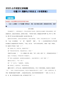 專題09 理解句子的含義（專項(xiàng)訓(xùn)練）（原卷版+答案與解釋）2024-2025學(xué)年小升初語文講練測 統(tǒng)編版