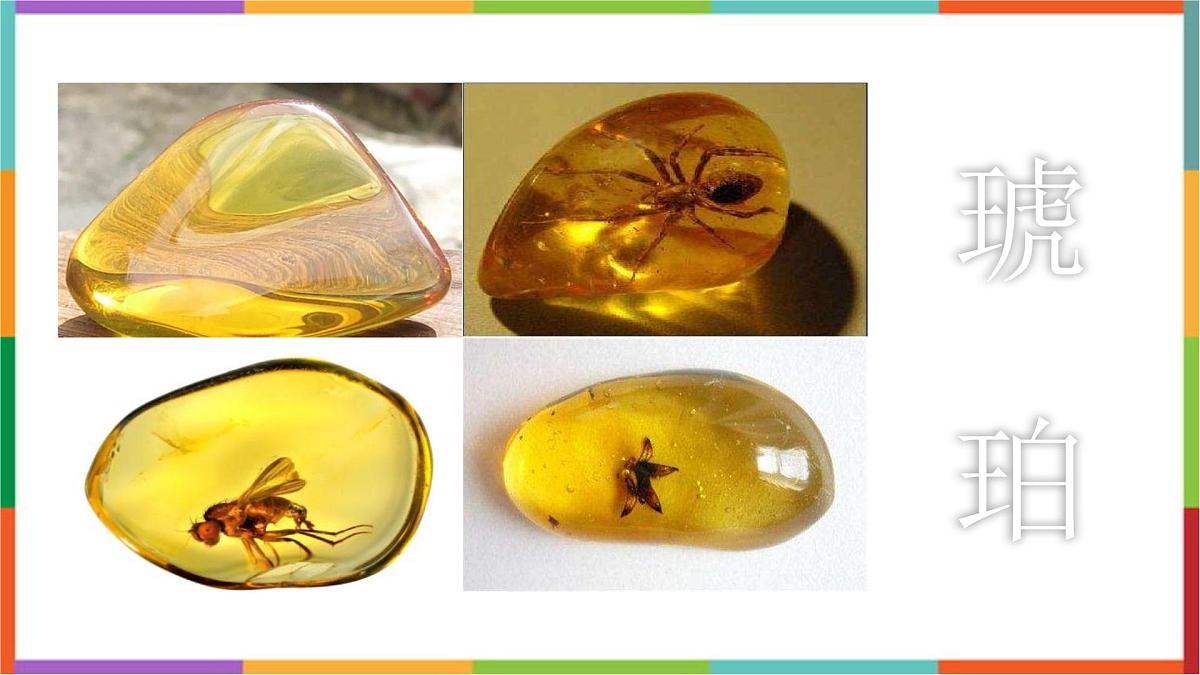 统编版(2024)四年级语文下册5琥珀课件第1页