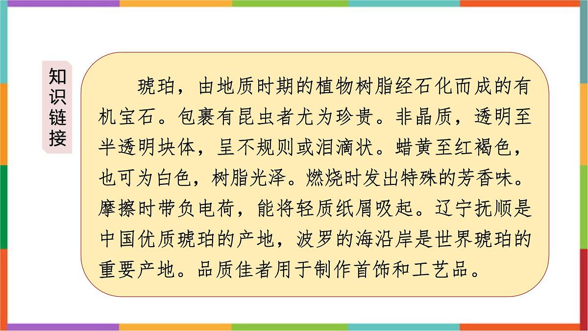 统编版(2024)四年级语文下册5琥珀课件第2页