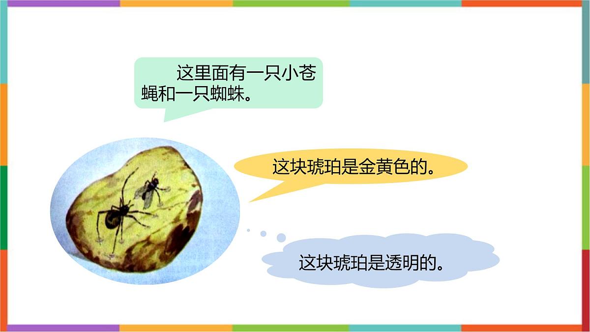 统编版(2024)四年级语文下册5琥珀课件第8页