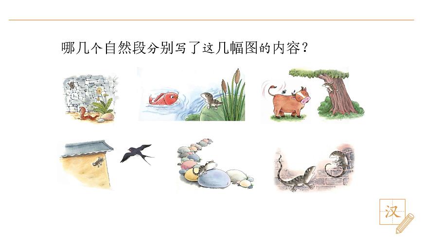 20 小壁虎借尾巴（第1課時）第5頁