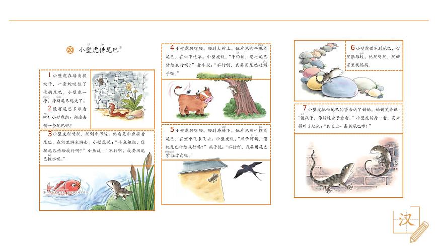 20 小壁虎借尾巴（第1課時）第6頁