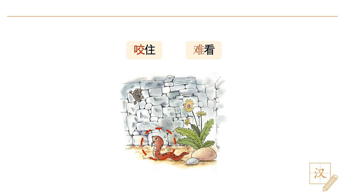 20 小壁虎借尾巴(第1课时)第8页