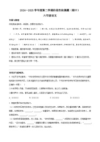 六年級(jí)下冊(cè) 期中考試語(yǔ)文試卷（原卷+答案）2024-2025學(xué)年（統(tǒng)編版）