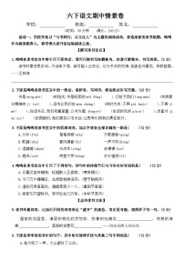 六年級(jí)下冊(cè)語(yǔ)文 期中情景卷（原卷+答案）2024-2025學(xué)年統(tǒng)編版