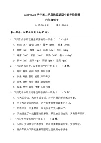 六年級(jí)下冊(cè)語(yǔ)文 期中素養(yǎng)檢測(cè)卷（原卷+答案）2024-2025學(xué)年語(yǔ)文 統(tǒng)編版