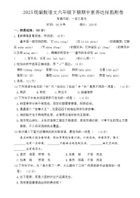六年級(jí)下冊(cè)語(yǔ)文 期中素養(yǎng)達(dá)標(biāo)監(jiān)測(cè)卷（原卷+答案）2024-2025學(xué)年 統(tǒng)編版語(yǔ)文