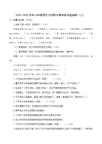 六年級(jí)下冊(cè)語文 期中語文其中素養(yǎng)測評(píng) 基礎(chǔ)卷2（原卷+答案與解釋）2024-2025學(xué)年（統(tǒng)編版）