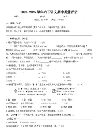 六年级下册语文 期中质量评估试卷(原卷+答案)2024-2025学年 (统编版)