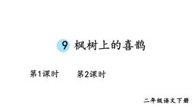 统编版（2024）二年级下册枫树上的喜鹊教学课件ppt