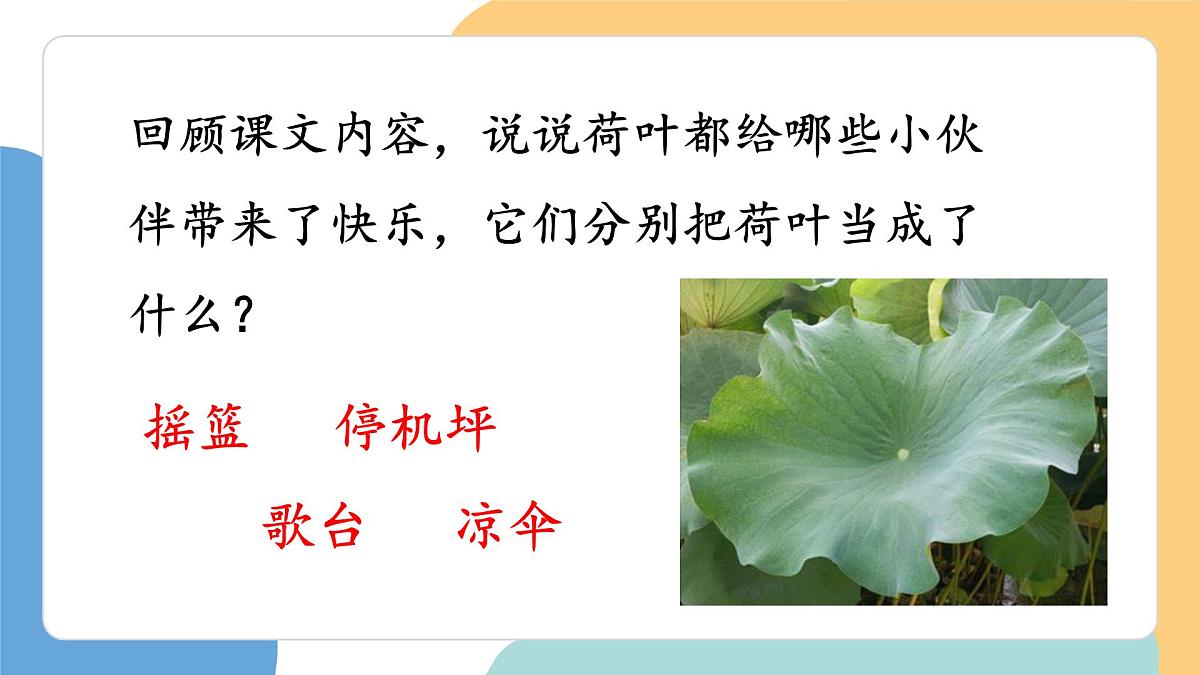 荷叶圆圆(第2课时)第7页