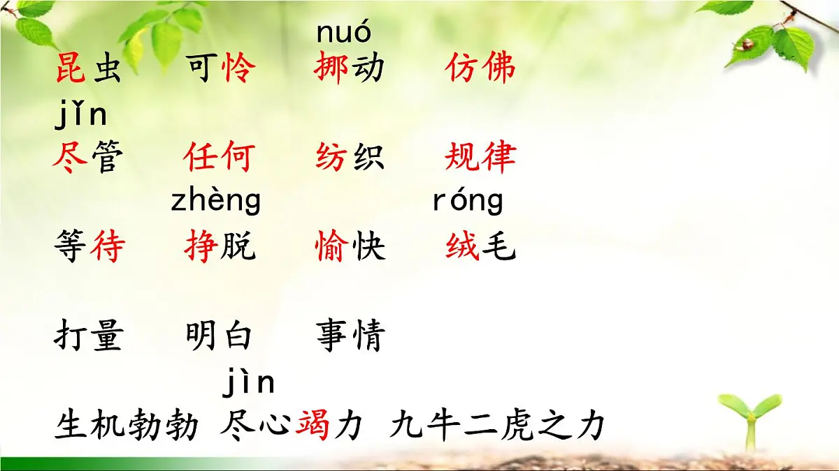 新统编版小学语文二下 课文6 22《小毛虫》课件第7页