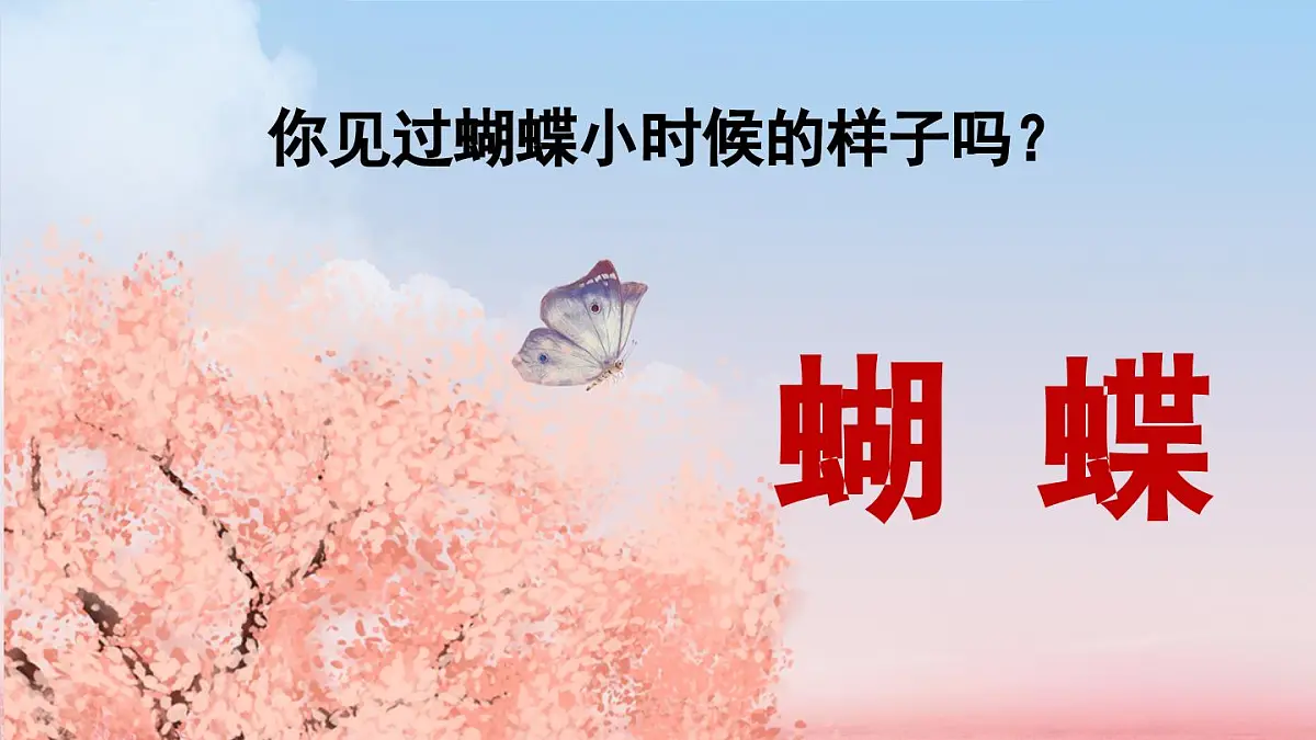 新统编版小学语文二下 课文6 22《小毛虫》课件(第一课时)第1页