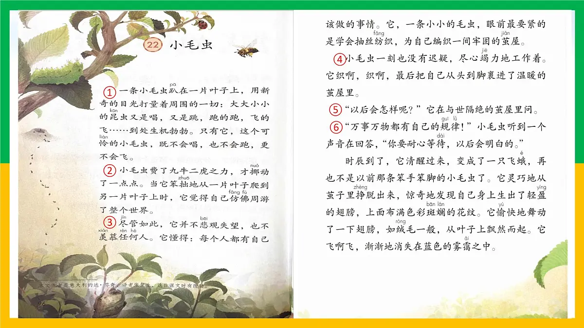 新统编版小学语文二下 课文6 22《小毛虫》学习任务群教学课件第3页