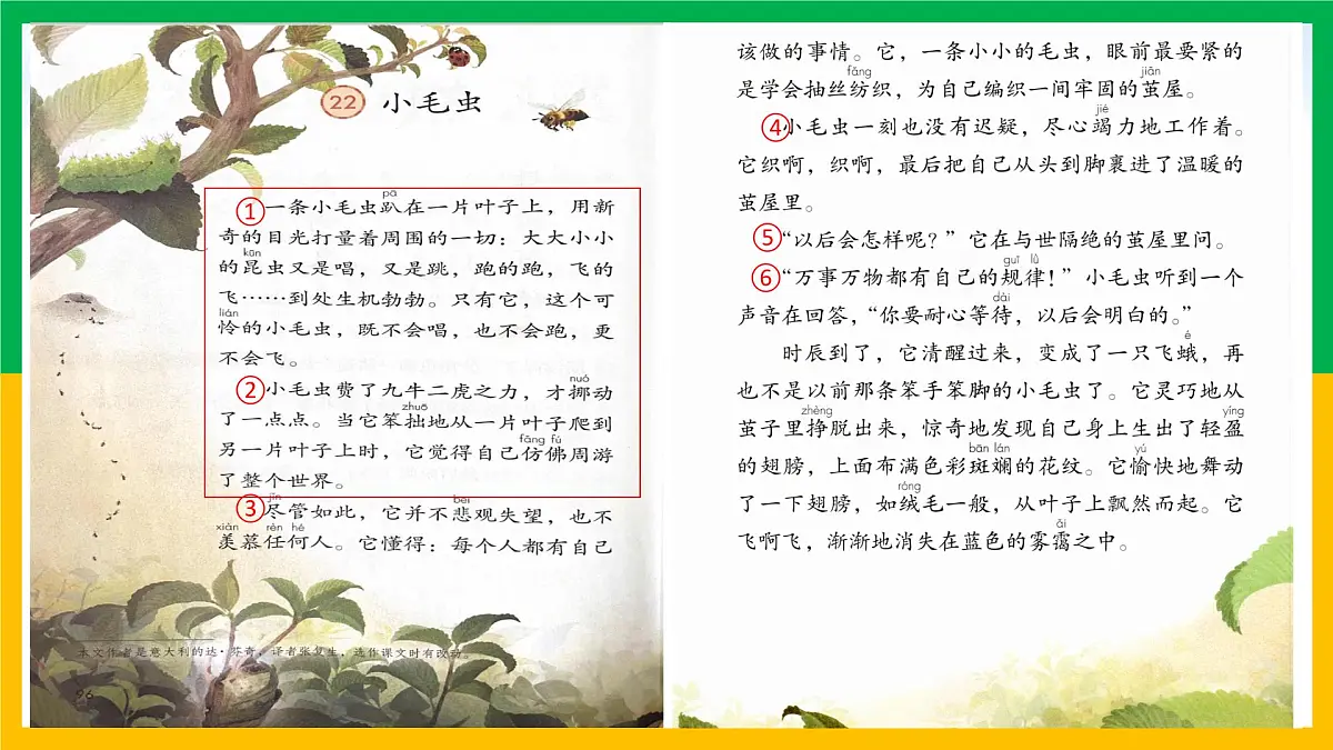 新统编版小学语文二下 课文6 22《小毛虫》学习任务群教学课件第8页