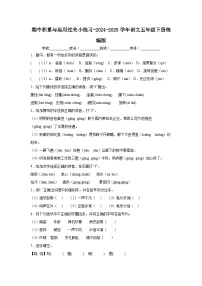 期中积累与运用过关小练习-2024-2025学年语文五年级下册统编版 (1)