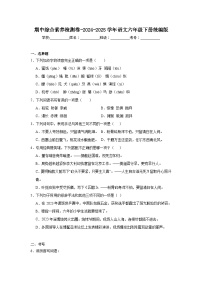 期中綜合素養(yǎng)檢測卷-2024-2025學(xué)年語文六年級下冊統(tǒng)編版