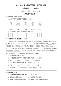 五年級(jí)下冊(cè)語(yǔ)文 期中測(cè)評(píng)卷 四（試題+答案）2024-2025學(xué)年 統(tǒng)編版五年級(jí)下冊(cè)