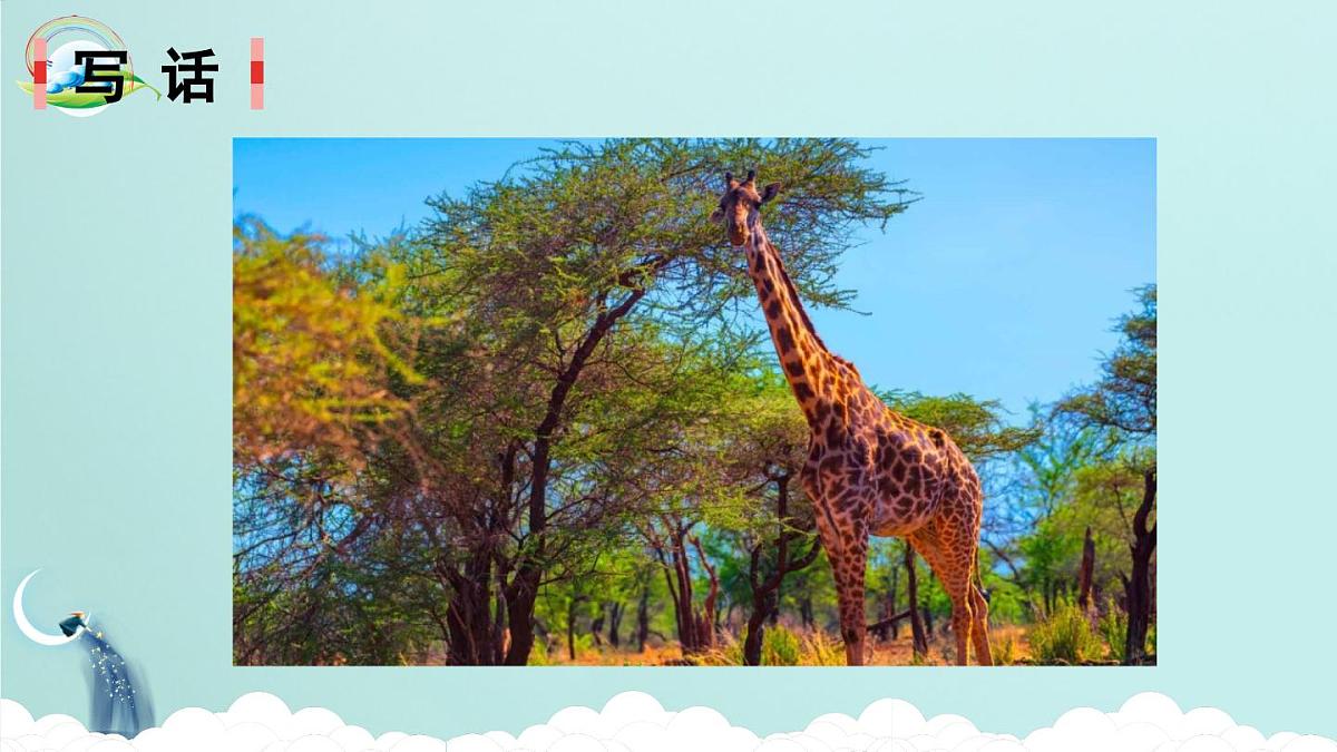 统编版小学语文二下 课文5《语文园地六》课件(第二课时)第2页