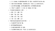 小学语文统编版（2024）四年级下册天窗课时作业