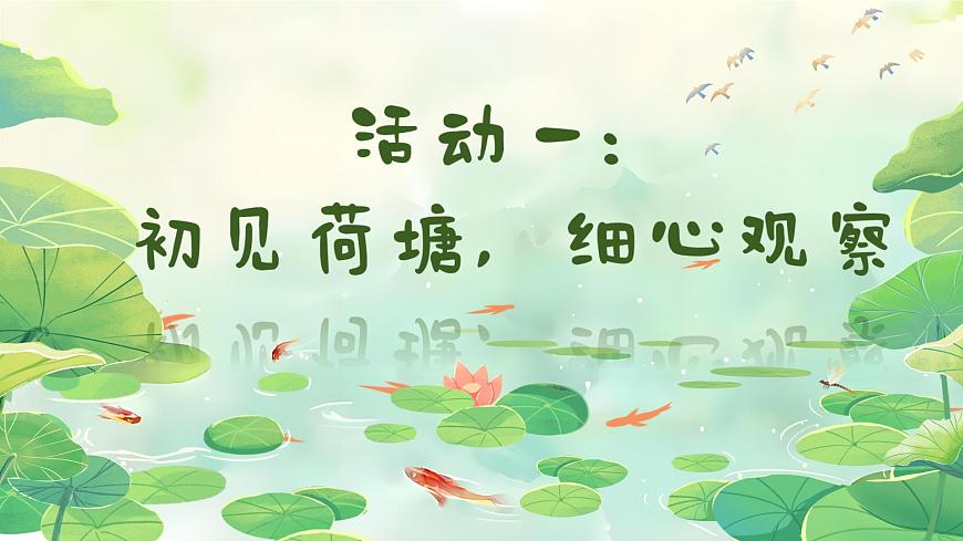 1. 閱讀12《荷葉圓圓》ppt課件第5頁