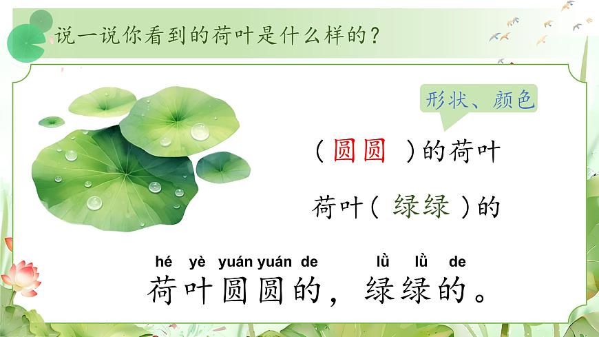 1. 閱讀12《荷葉圓圓》ppt課件第6頁
