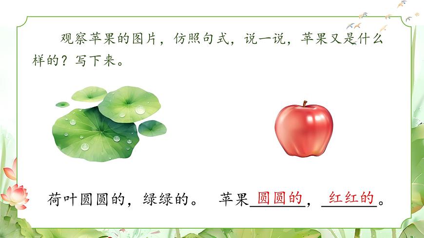 1. 閱讀12《荷葉圓圓》ppt課件第7頁