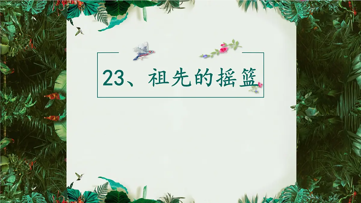 新人教统编小学语文二下 课文7 23《祖先的摇篮》课件第1页