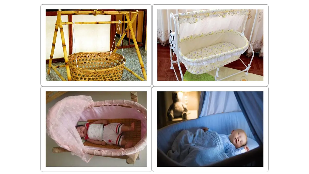 新人教统编小学语文二下 课文7 23《祖先的摇篮》课件第2页