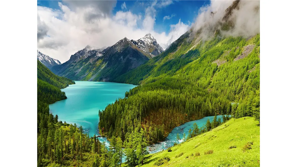 新人教统编小学语文二下 课文7 23《祖先的摇篮》课件第4页