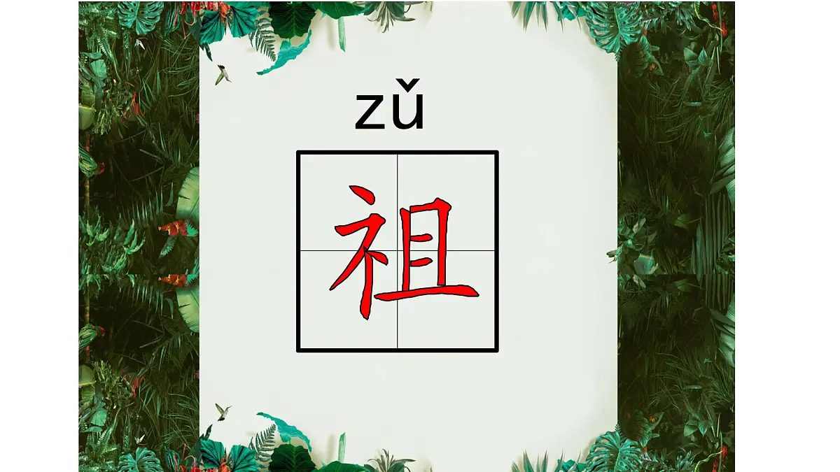 新人教统编小学语文二下 课文7 23《祖先的摇篮》课件第5页