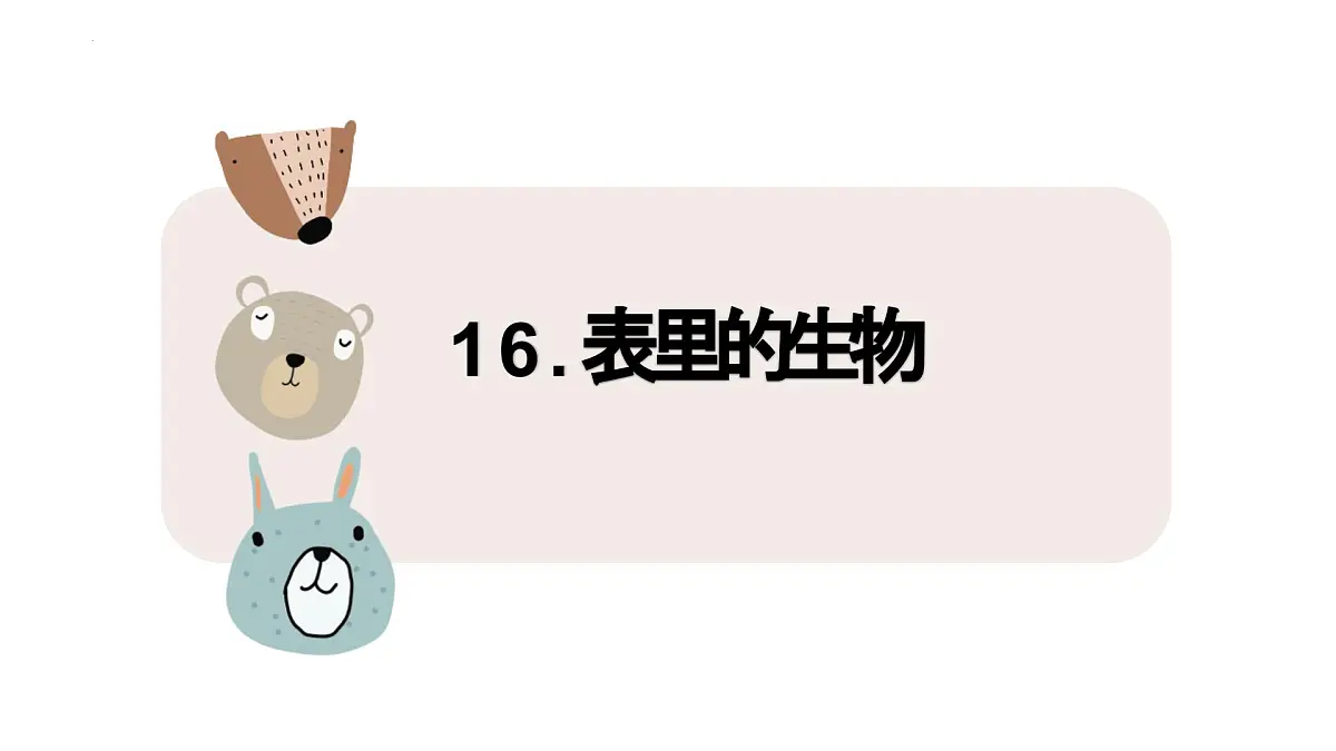 统编版(2024)六年级语文下册16表里的生物课件ppt第1页