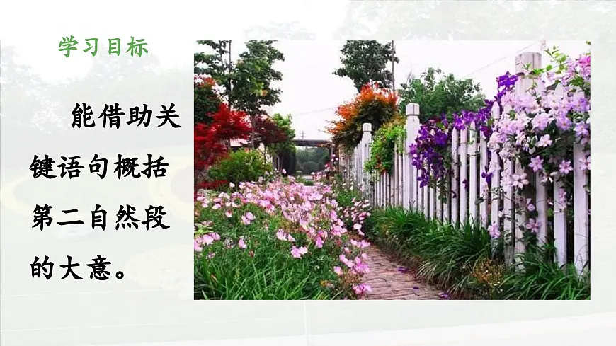 新统编版小学语文三下 4-13《花钟》 课件(第二课时)第2页