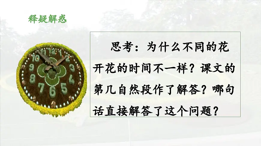 新统编版小学语文三下 4-13《花钟》 课件(第二课时)第4页