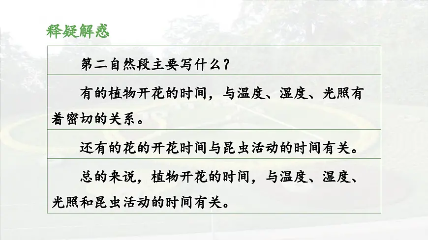 新统编版小学语文三下 4-13《花钟》 课件(第二课时)第5页