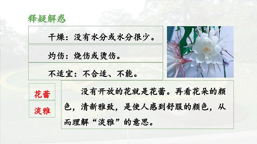 新统编版小学语文三下 4-13《花钟》 课件(第二课时)第7页