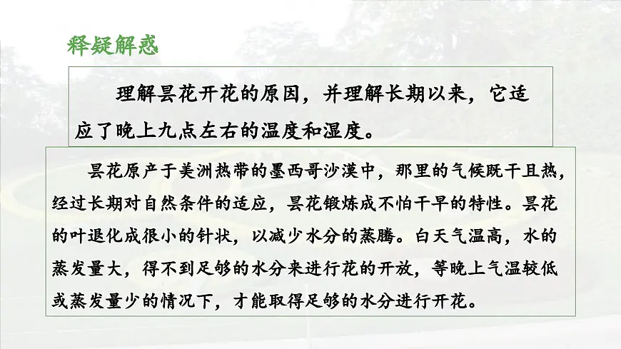 新统编版小学语文三下 4-13《花钟》 课件(第二课时)第8页