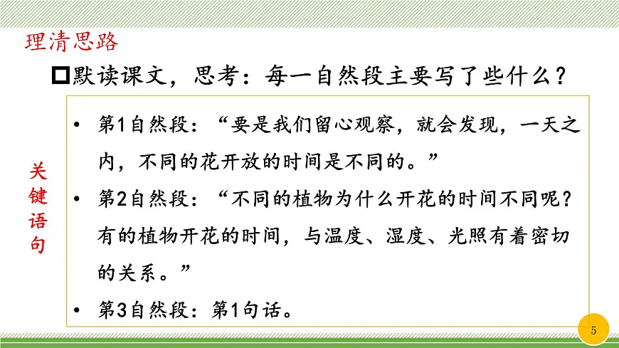 新统编版小学语文三下 4-13《花钟》教学课件(第一课时)第5页