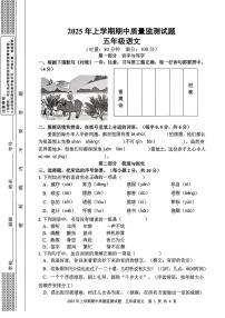 湖南省邵阳市洞口县2025年上学期期中质量监测试题五年级语文试卷