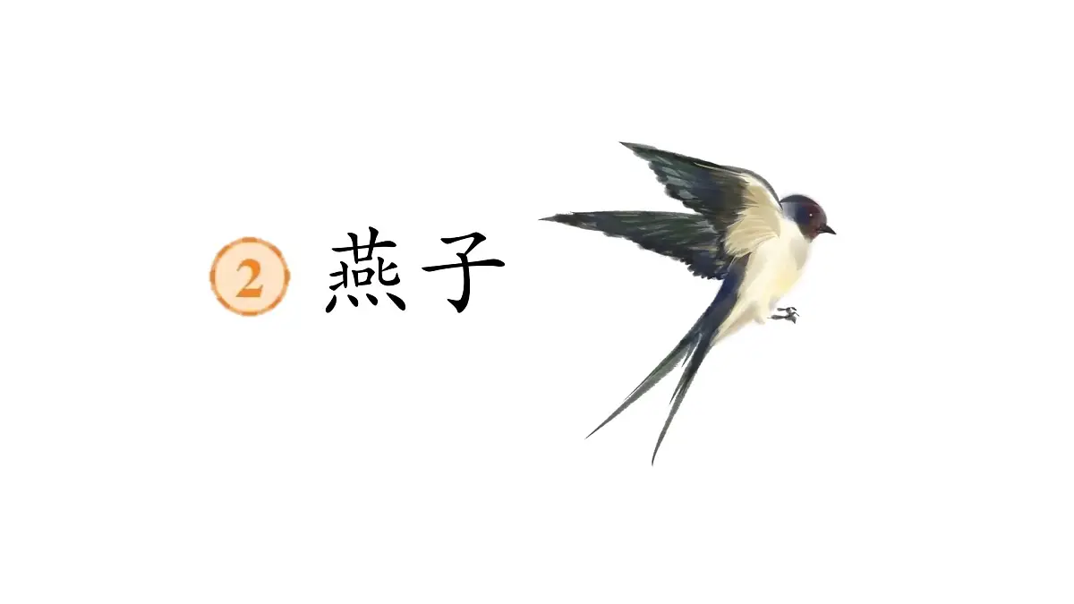 2.燕子 课件 2024-2025学年部编版语文三年级下册第1页