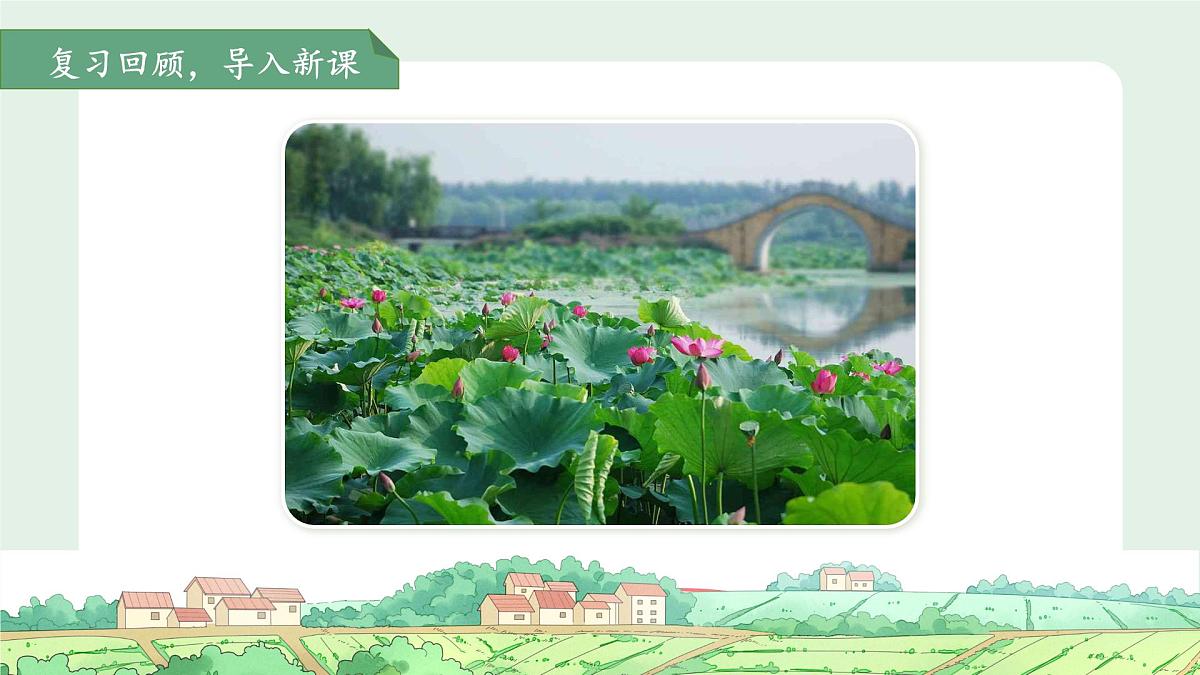 10古诗二首《小池》课件 语文统编版(2024)一年级下册第六单元第5页