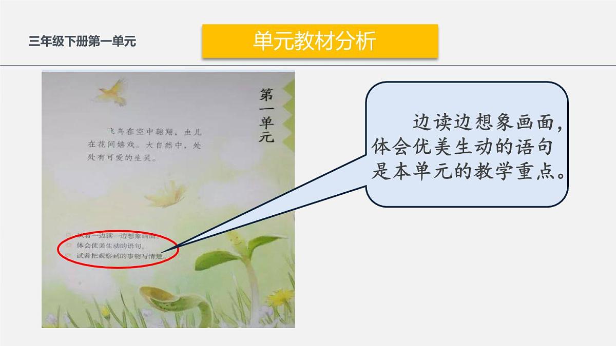 新统编版小学语文三下 第一单元整合策略教学课件第7页