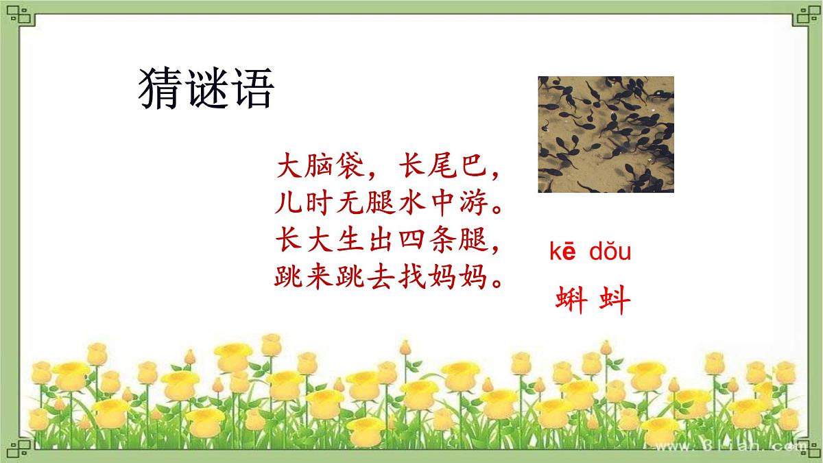 统编版语文一年级下册第5《动物儿歌》课件第6页